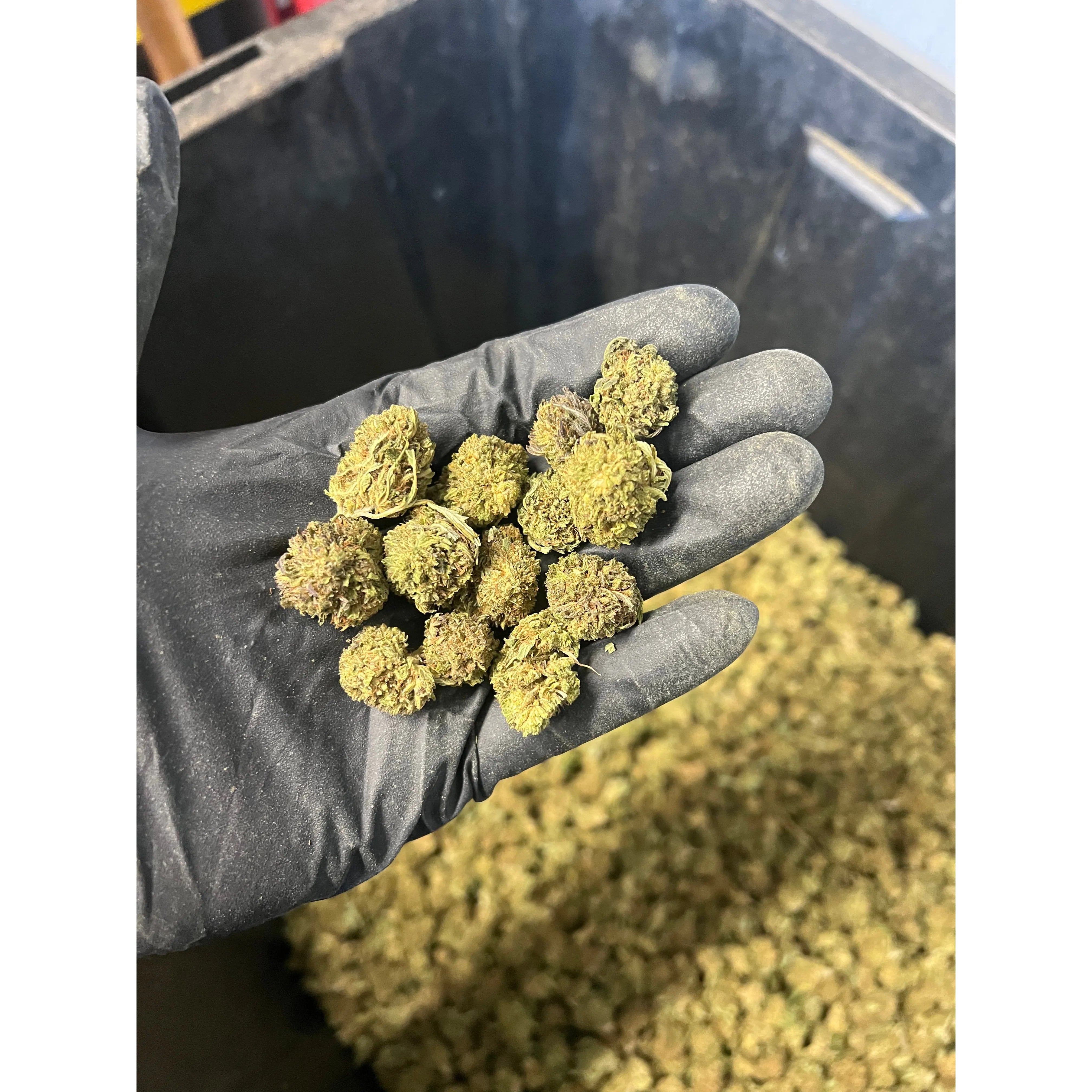 Bubba Kush Hemp Flower Smalls